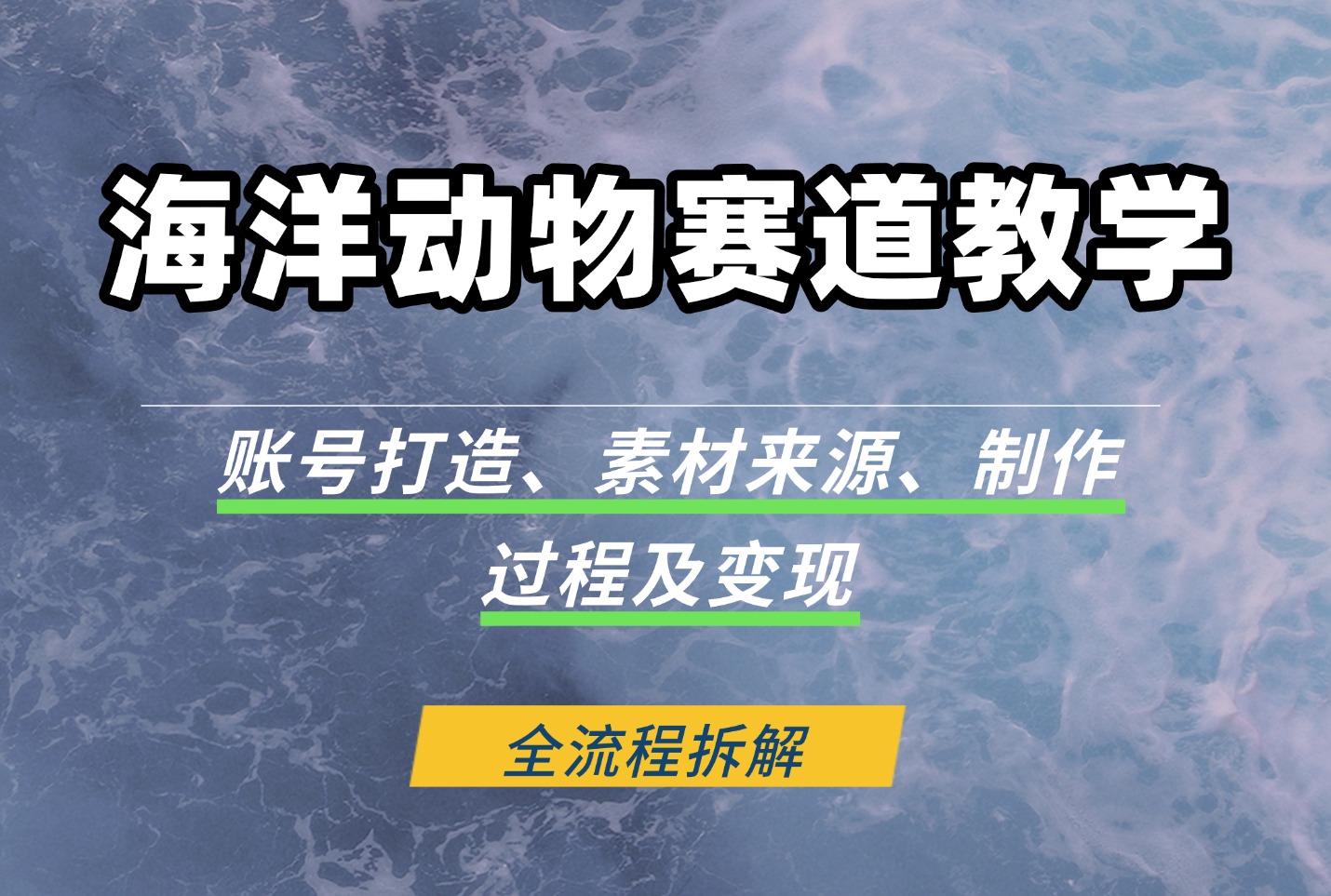 海洋动物赛道教学：账号打造、素材来源、制作过程及变现-亮剑学堂