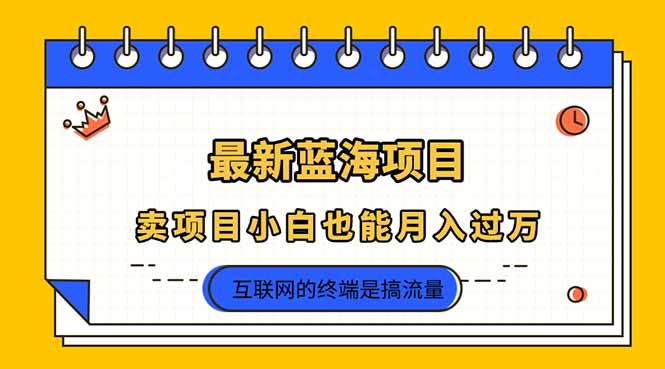 (14289期)2025年最新蓝海项目,卖项目小白也能月入过万-亮剑学堂